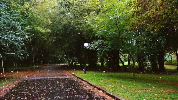 Strada Bagnata Nel Parco Autunnale Durante Pioggia Vista Dalla Finestra — Video Stock