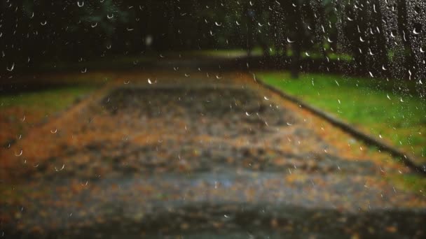 雨天在秋天公园的湿路上 从窗口看 — 图库视频影像