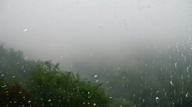 Ağaçların ve yağmurun üstünde sis. Pencereden bak. Cama yağmur damlaları damlıyor.