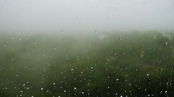 Mgła Nad Drzewami Deszcz Widok Okna Krople Deszczu Szklance — Wideo stockowe