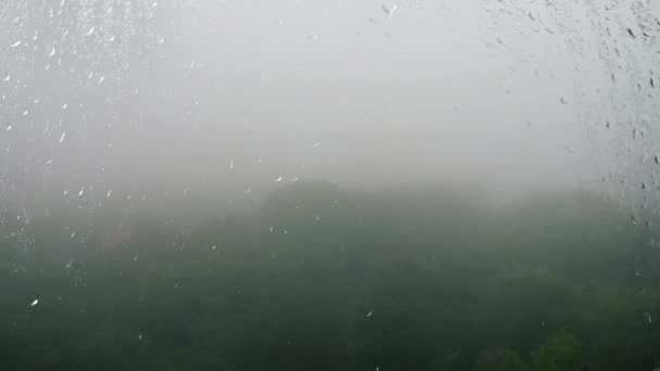 Niebla Sobre Los Árboles Lluvia Vista Desde Ventana Gotas Lluvia — Vídeo de stock