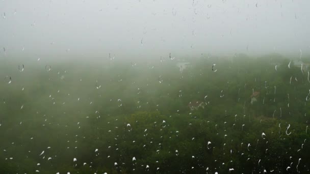 Ağaçların Yağmurun Üstünde Sis Pencereden Bak Cama Yağmur Damlaları Damlıyor — Stok video