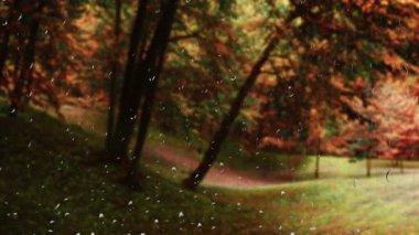 Yağmurda park et. Pencereden bak. Cama yağmur damlaları damlıyor.