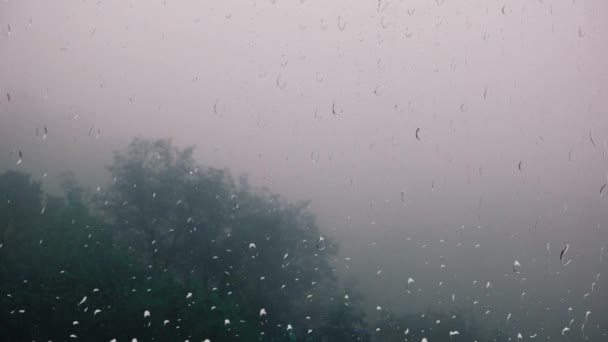 Ομίχλη Πάνω Από Δέντρα Και Βροχή Θέα Από Παράθυρο Σταγόνες — Αρχείο Βίντεο
