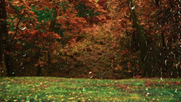 Lluvia Contra Bosque Vista Desde Ventana Gotas Lluvia Vaso — Vídeos de Stock