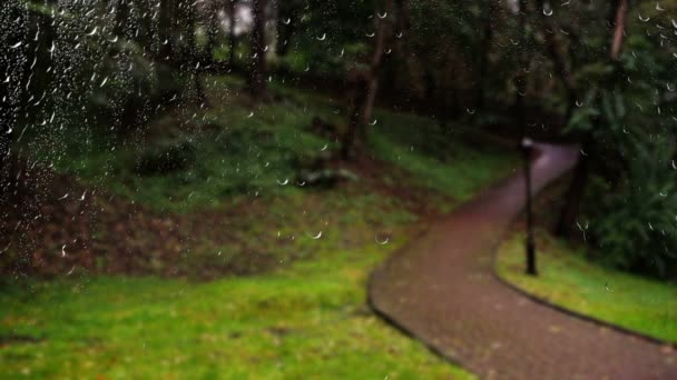 Парк Время Дождя Вид Окна Капли Дождя Стекле — стоковое видео