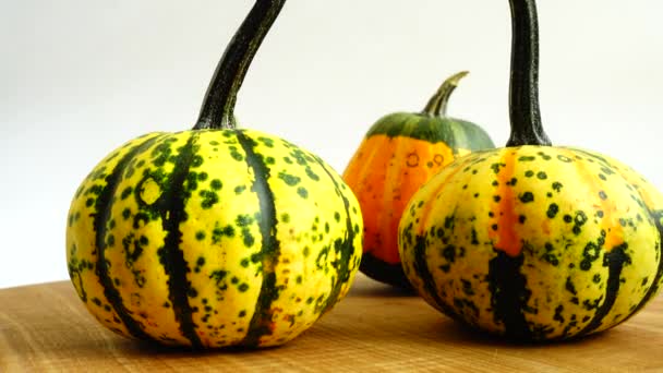 Calabazas Sobre Fondo Blanco — Vídeo de stock