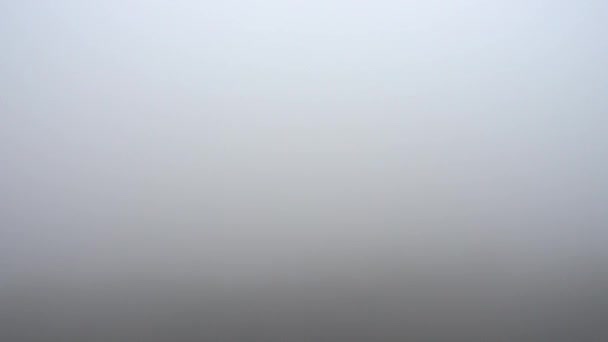 Niebla Sobre Madera — Vídeos de Stock