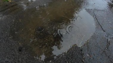 Yağmur sırasında bir su birikintisi ve düşen su damlası.