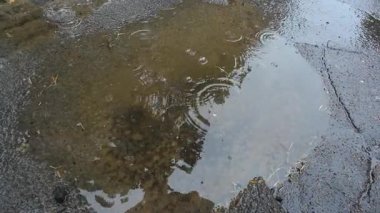 Yağmur sırasında bir su birikintisi ve düşen su damlası.