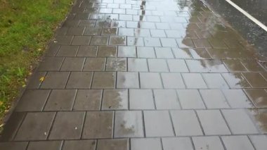 Yağmur sırasında taş döşeme ve yol.