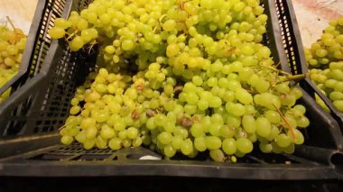 Süpermarkette plastik kutularda üzüm demetleri.