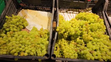 Süpermarkette plastik kutularda üzüm demetleri.
