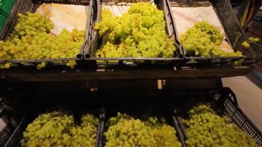 Süpermarkette plastik kutularda üzüm demetleri.