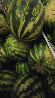 Süpermarkette kocaman bir kutuda bir yığın karpuz. Dikey video.