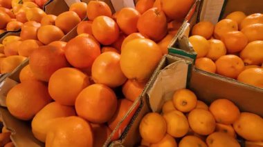 Süpermarkette karton kutulardaki portakallar.