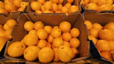 Süpermarkette karton kutulardaki portakallar.