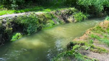 Çimenli bir kıyıdan akan temiz suyu olan bir nehir..