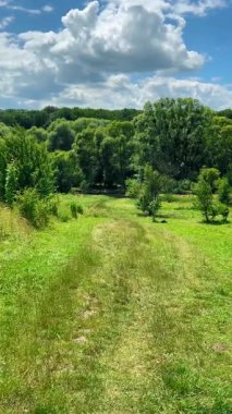 Gökyüzü ve bulutların arka planında çimenlerle kaplı bir çayır boyunca bir arazi yolu. Dikey video.