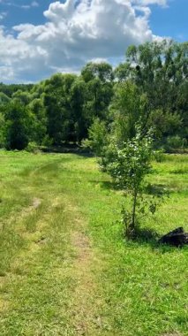 Gökyüzü ve bulutların arka planında çimenlerle kaplı bir çayır boyunca bir arazi yolu. Dikey video.