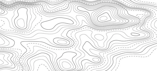 Carte Topographique Arrière Plan Carte Grille Illustration Vectorielle Abstraite — Image vectorielle