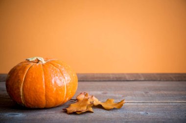 Sonbahar arkaplanı meşe yaprakları ve kopyalama alanı olan balkabağı,