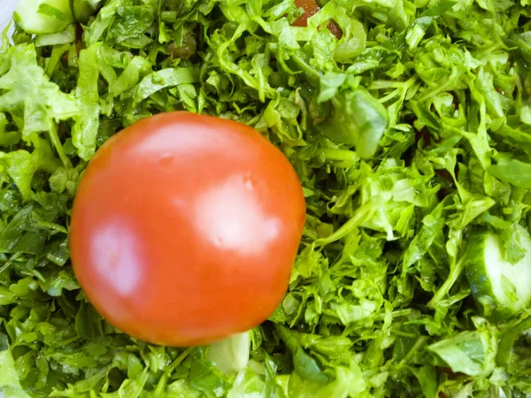 Vegetarischer Frischer Salat Mit Salat Tomate Und Redisca Frühlingsstimmung Salat — Stockfoto