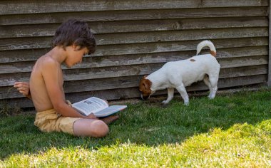Çocuk çimlerin üzerinde köpek Jack Russell Terrier ile oturmuş kitap okuyor gölgede, tatilde, okula dönüyor, yatay formatta.