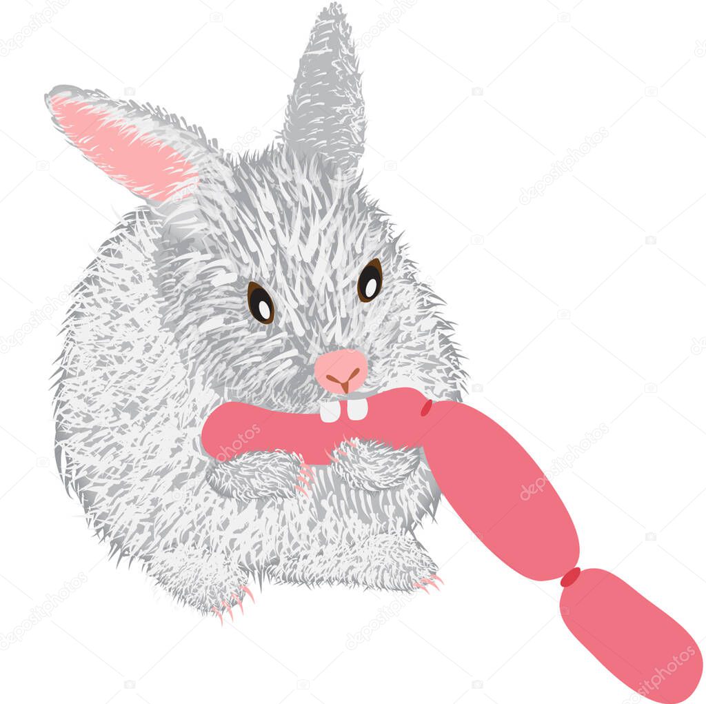 Rabbit is eating sausage