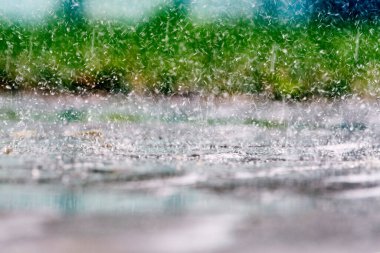 Çimlerin üzerinde yaz yağmuru