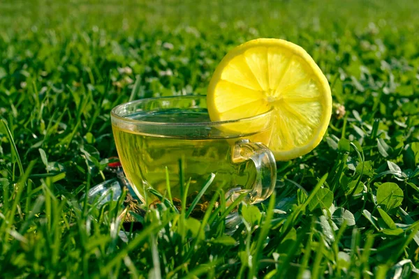 Tea Lemon Grass — Stock Photo, Image
