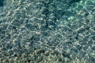 Yosun üst görüşlü Ege Denizi, bulanık arkaplan, doğal, dikey