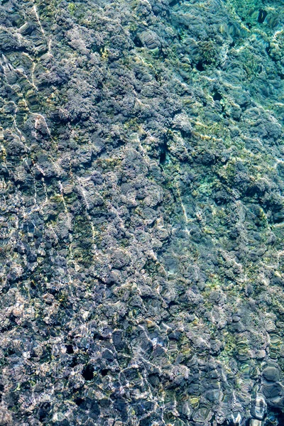 Ägäis Mit Algenblick Verschwommener Hintergrund Natürlich Vertikal — Stockfoto