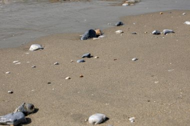 Sabah Ege Denizi 'ndeki kumlu sahil, tatil köyü, yatay format