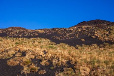 Sabah Etna yanardağının girişindeki güzel bitki örtüsü