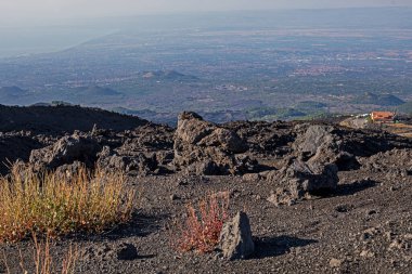Sabah Etna volkanı üzerinde seyrek bitki örtüsü. Sicilya 'da seyahat