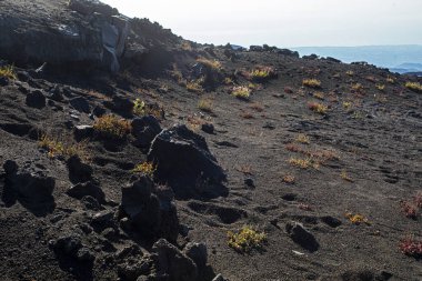 Araç tekerleklerinden Etna yanardağına giden yol