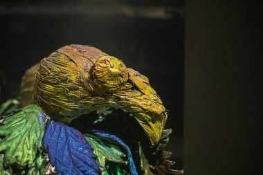 Koyu renkli kumaştan yapılmış kuzgun başlı maske. Kolera maskesi..