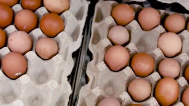 Süpermarketteki karton kaplarda yetiştirilmiş tavuk yumurtaları. Küresel kriz, enflasyon ve varsayılan