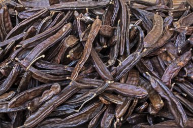 Büyük bir sopa keçiboynuzu kabuğuyla. Baharatlar, sağlık ve sağlık