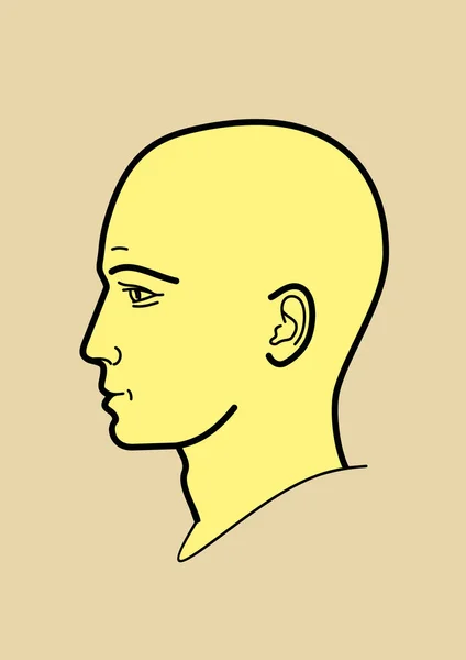 Human head, human emotions - vector illustration in a linear design style. Profile of a man. Set of human emotions. The emotion of calm, peace.