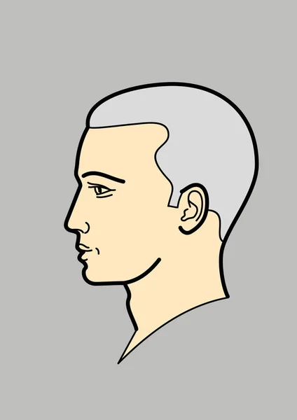 Human Head Male Head Male Man Icon Profile Silhouette Linear — Stock Vector