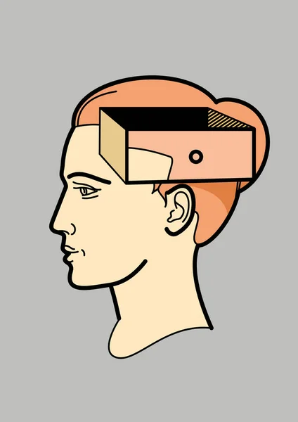 Human head. The brain of a woman with an open box. Abstract shape of a human head with a box. Symbolizes the change of thoughts, the effect on the opinions, habits.