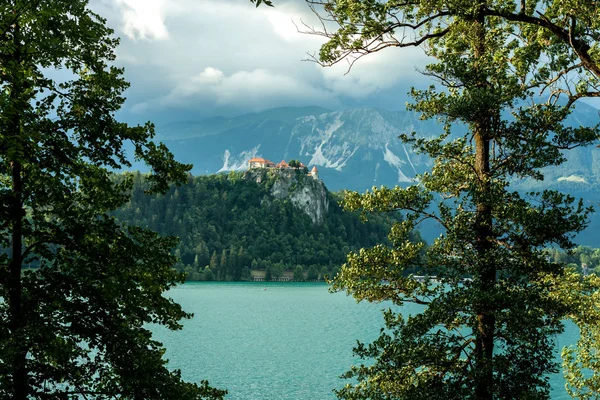 Bled castle between trees over the lake — Stock Photo, Image