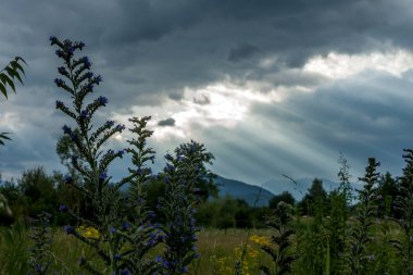 kara bulutlar dramatik peyzaj