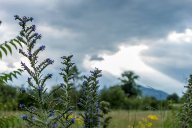 kara bulutlar dramatik peyzaj