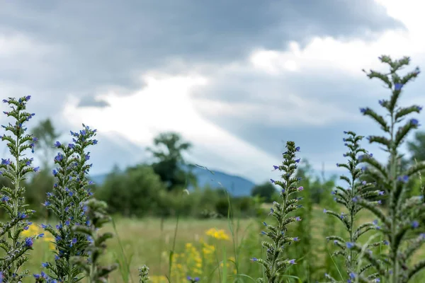 Dramático nuvens escuras paisagem — Fotografia de Stock