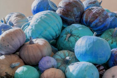 mavi diferent kabak Çiftlik Bahçe yığını
