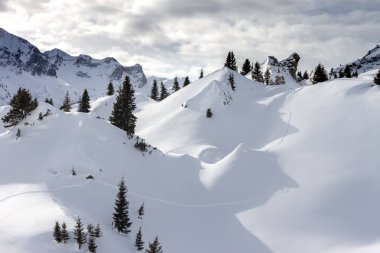 güzel Alps dağ peyzaj çam ağaçları ve kayaları kar altında