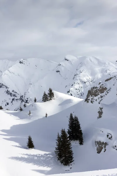 Όμορφη Άλπεις βουνό lanscape έλατα και βράχους κάτω από χιόνι — Φωτογραφία Αρχείου